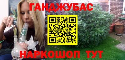 прущие грибы Братск