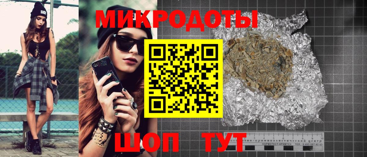 Псилоцибиновые грибы Psilocybe Буйнакск
